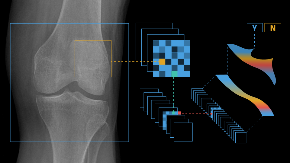 Deep-learning analysis of a total-body DXA scan